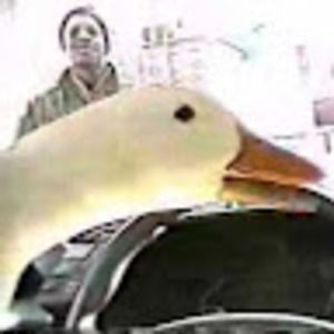 Meet your Posher, Maggie